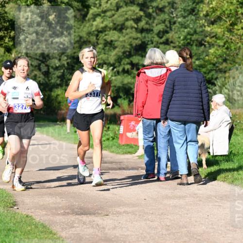 27.09.2026 - 35. Volkslauf durch das schöne Alstertal Dr. Thomas Lammeyer http://msf.ph/oto/10563993 27.09.2026 10:34:00 Laufen  meine-sportfotos.de