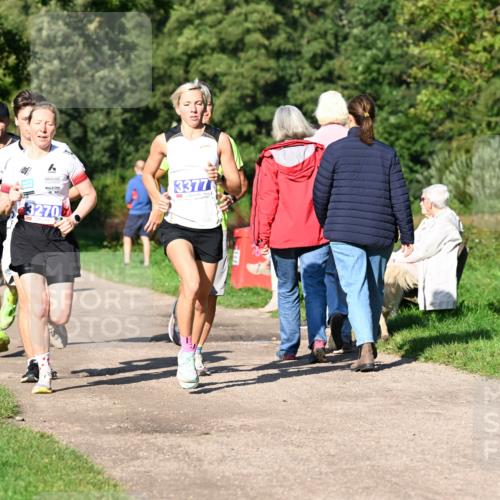 27.09.2026 - 35. Volkslauf durch das schöne Alstertal Dr. Thomas Lammeyer http://msf.ph/oto/10563995 27.09.2026 10:34:00 Laufen 3270, 3377 meine-sportfotos.de