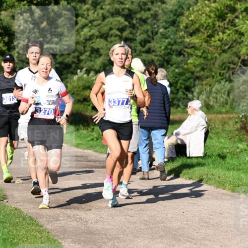 27.09.2026 - 35. Volkslauf durch das schöne Alstertal Dr. Thomas Lammeyer http://msf.ph/oto/10564000 27.09.2026 10:34:01 Laufen 3013, 3270, 3377 meine-sportfotos.de