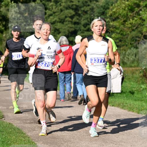 27.09.2026 - 35. Volkslauf durch das schöne Alstertal Dr. Thomas Lammeyer http://msf.ph/oto/10564005 27.09.2026 10:34:01 Laufen 3013, 3270, 33773 meine-sportfotos.de