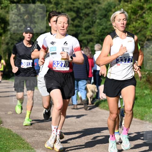27.09.2026 - 35. Volkslauf durch das schöne Alstertal Dr. Thomas Lammeyer http://msf.ph/oto/10564008 27.09.2026 10:34:02 Laufen 13377, 3013, 3270 meine-sportfotos.de