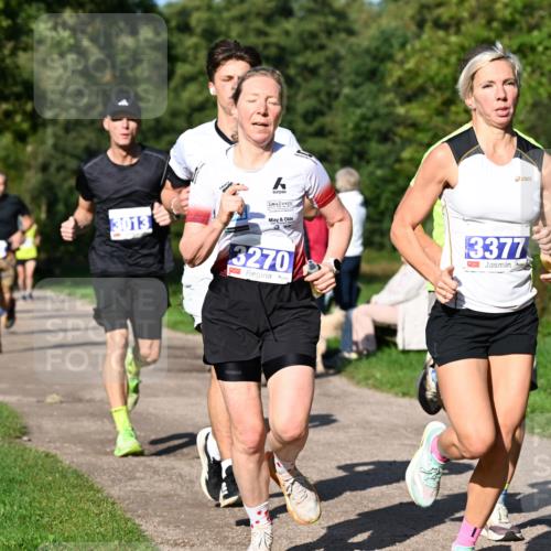 27.09.2026 - 35. Volkslauf durch das schöne Alstertal Dr. Thomas Lammeyer http://msf.ph/oto/10564010 27.09.2026 10:34:02 Laufen 3013, 3270, 3377 meine-sportfotos.de