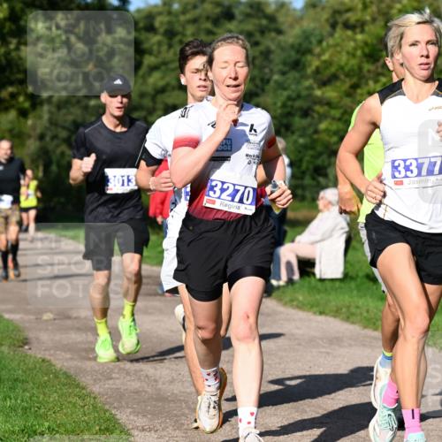 27.09.2026 - 35. Volkslauf durch das schöne Alstertal Dr. Thomas Lammeyer http://msf.ph/oto/10564011 27.09.2026 10:34:02 Laufen 3013, 3377, 3270 meine-sportfotos.de