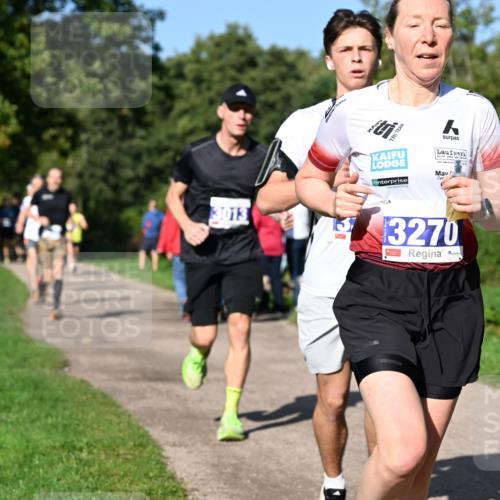 27.09.2026 - 35. Volkslauf durch das schöne Alstertal Dr. Thomas Lammeyer http://msf.ph/oto/10564017 27.09.2026 10:34:03 Laufen  meine-sportfotos.de