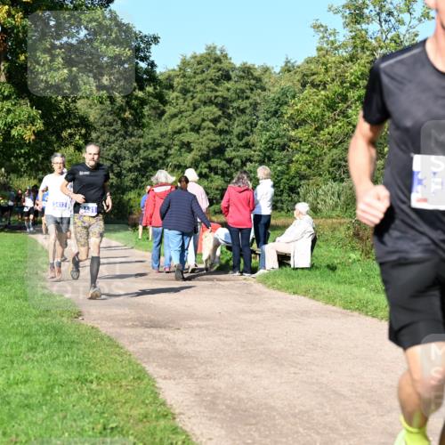 27.09.2026 - 35. Volkslauf durch das schöne Alstertal Dr. Thomas Lammeyer http://msf.ph/oto/10564026 27.09.2026 10:34:04 Laufen 37, 3412, 2431, 3013 meine-sportfotos.de