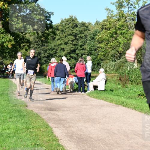 27.09.2026 - 35. Volkslauf durch das schöne Alstertal Dr. Thomas Lammeyer http://msf.ph/oto/10564027 27.09.2026 10:34:04 Laufen 3, 12, 3431, 3013 meine-sportfotos.de