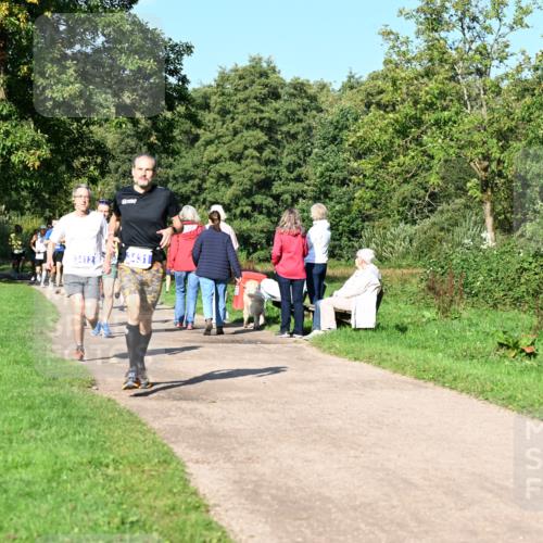 27.09.2026 - 35. Volkslauf durch das schöne Alstertal Dr. Thomas Lammeyer http://msf.ph/oto/10564033 27.09.2026 10:34:05 Laufen 3431, 34126 meine-sportfotos.de