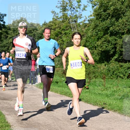27.09.2026 - 35. Volkslauf durch das schöne Alstertal Dr. Thomas Lammeyer http://msf.ph/oto/10564076 27.09.2026 10:34:12 Laufen 3430, 3342, 3186, 3120 meine-sportfotos.de