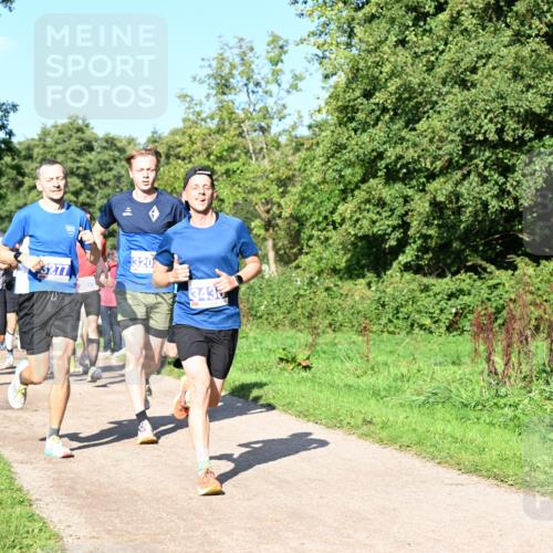 27.09.2026 - 35. Volkslauf durch das schöne Alstertal Dr. Thomas Lammeyer http://msf.ph/oto/10564092 27.09.2026 10:34:15 Laufen 320, 3435 meine-sportfotos.de