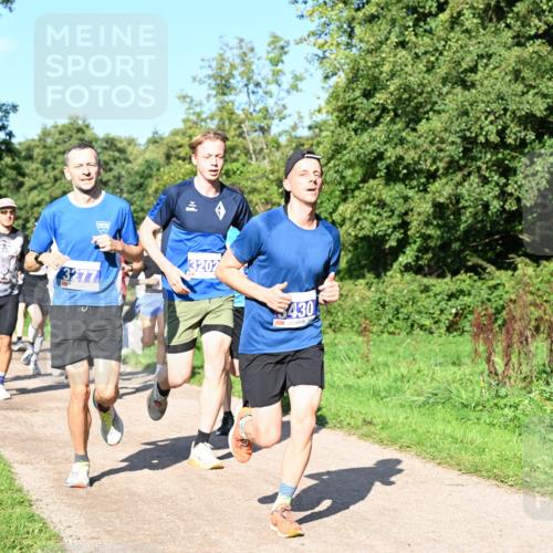 27.09.2026 - 35. Volkslauf durch das schöne Alstertal Dr. Thomas Lammeyer http://msf.ph/oto/10564095 27.09.2026 10:34:15 Laufen 3202, 3430 meine-sportfotos.de