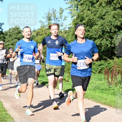 27.09.2026 - 35. Volkslauf durch das schöne Alstertal Dr. Thomas Lammeyer http://msf.ph/oto/10564097 27.09.2026 10:34:16 Laufen 3202, 3277, 3430 meine-sportfotos.de