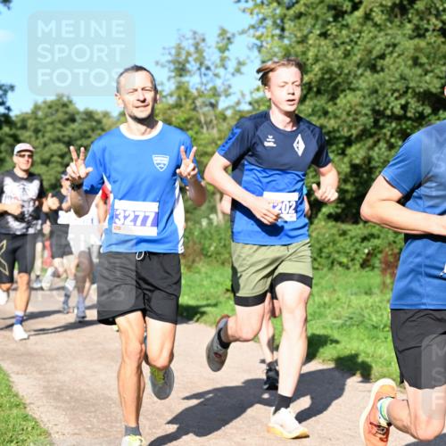 27.09.2026 - 35. Volkslauf durch das schöne Alstertal Dr. Thomas Lammeyer http://msf.ph/oto/10564100 27.09.2026 10:34:16 Laufen 202, 3277, 13430 meine-sportfotos.de
