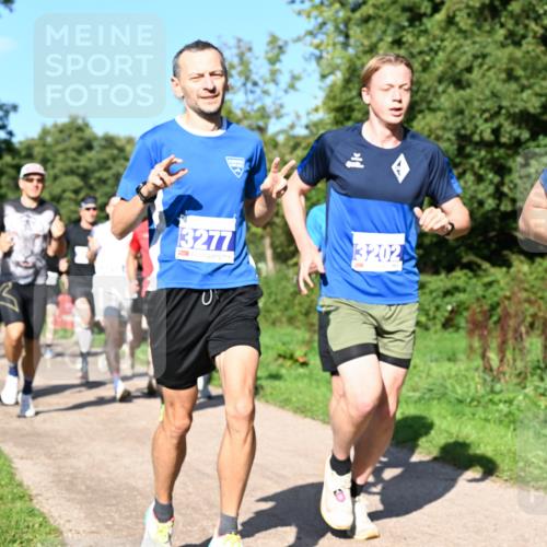 27.09.2026 - 35. Volkslauf durch das schöne Alstertal Dr. Thomas Lammeyer http://msf.ph/oto/10564101 27.09.2026 10:34:16 Laufen 3277, 3202, 343 meine-sportfotos.de