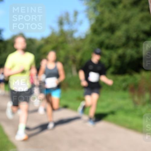 27.09.2026 - 35. Volkslauf durch das schöne Alstertal Dr. Thomas Lammeyer http://msf.ph/oto/10564125 27.09.2026 10:34:20 Laufen  meine-sportfotos.de