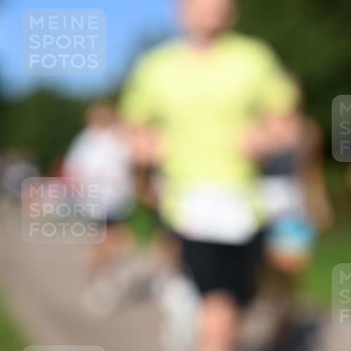 27.09.2026 - 35. Volkslauf durch das schöne Alstertal Dr. Thomas Lammeyer http://msf.ph/oto/10564133 27.09.2026 10:34:21 Laufen  meine-sportfotos.de