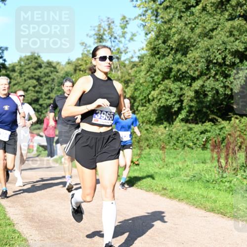 27.09.2026 - 35. Volkslauf durch das schöne Alstertal Dr. Thomas Lammeyer http://msf.ph/oto/10564165 27.09.2026 10:34:25 Laufen 3965 meine-sportfotos.de