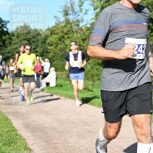 27.09.2026 - 35. Volkslauf durch das schöne Alstertal Dr. Thomas Lammeyer http://msf.ph/oto/10564256 27.09.2026 10:34:47 Laufen 242 meine-sportfotos.de