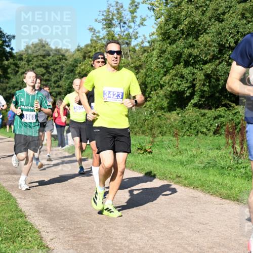 27.09.2026 - 35. Volkslauf durch das schöne Alstertal Dr. Thomas Lammeyer http://msf.ph/oto/10564267 27.09.2026 10:34:49 Laufen  meine-sportfotos.de