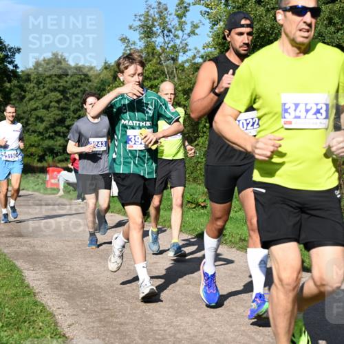 27.09.2026 - 35. Volkslauf durch das schöne Alstertal Dr. Thomas Lammeyer http://msf.ph/oto/10564274 27.09.2026 10:34:50 Laufen 243, 3150, 39, 022, 3423 meine-sportfotos.de