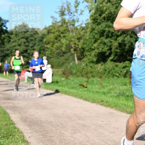 27.09.2026 - 35. Volkslauf durch das schöne Alstertal Dr. Thomas Lammeyer http://msf.ph/oto/10564300 27.09.2026 10:34:54 Laufen 3150 meine-sportfotos.de
