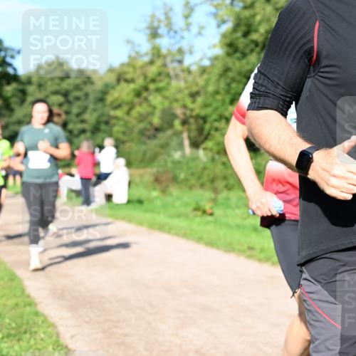 27.09.2026 - 35. Volkslauf durch das schöne Alstertal Dr. Thomas Lammeyer http://msf.ph/oto/10564354 27.09.2026 10:35:02 Laufen  meine-sportfotos.de