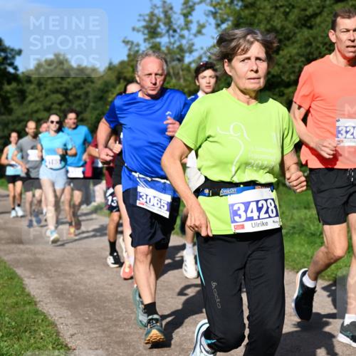 27.09.2026 - 35. Volkslauf durch das schöne Alstertal Dr. Thomas Lammeyer http://msf.ph/oto/10564417 27.09.2026 10:35:12 Laufen 3065, 13, 15, 3428, 3203 meine-sportfotos.de