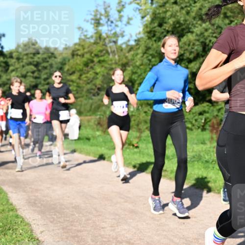 27.09.2026 - 35. Volkslauf durch das schöne Alstertal Dr. Thomas Lammeyer http://msf.ph/oto/10564521 27.09.2026 10:35:29 Laufen 3221 meine-sportfotos.de