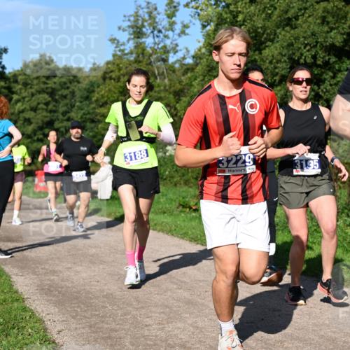 27.09.2026 - 35. Volkslauf durch das schöne Alstertal Dr. Thomas Lammeyer http://msf.ph/oto/10564555 27.09.2026 10:35:34 Laufen 2, 3188, 3229, 3195 meine-sportfotos.de