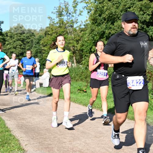 27.09.2026 - 35. Volkslauf durch das schöne Alstertal Dr. Thomas Lammeyer http://msf.ph/oto/10564578 27.09.2026 10:35:37 Laufen 311, 3958, 3251, 3422 meine-sportfotos.de