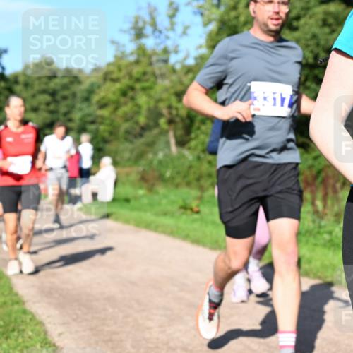 27.09.2026 - 35. Volkslauf durch das schöne Alstertal Dr. Thomas Lammeyer http://msf.ph/oto/10564614 27.09.2026 10:35:42 Laufen 39 meine-sportfotos.de