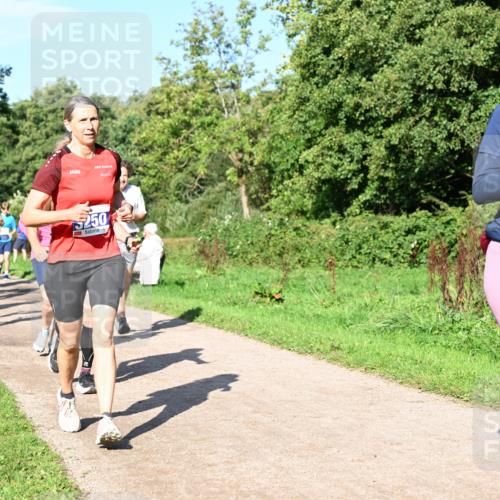 27.09.2026 - 35. Volkslauf durch das schöne Alstertal Dr. Thomas Lammeyer http://msf.ph/oto/10564619 27.09.2026 10:35:43 Laufen 250, 3348 meine-sportfotos.de
