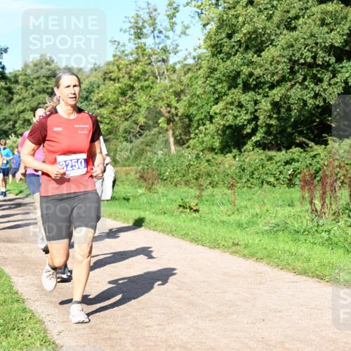 27.09.2026 - 35. Volkslauf durch das schöne Alstertal Dr. Thomas Lammeyer http://msf.ph/oto/10564620 27.09.2026 10:35:43 Laufen 3250, 349 meine-sportfotos.de