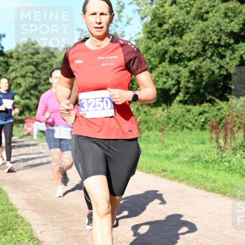 27.09.2026 - 35. Volkslauf durch das schöne Alstertal Dr. Thomas Lammeyer http://msf.ph/oto/10564627 27.09.2026 10:35:44 Laufen 3250 meine-sportfotos.de