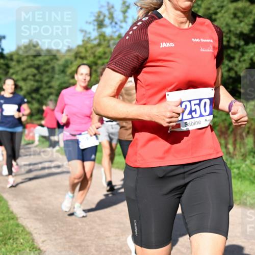 27.09.2026 - 35. Volkslauf durch das schöne Alstertal Dr. Thomas Lammeyer http://msf.ph/oto/10564630 27.09.2026 10:35:45 Laufen 250 meine-sportfotos.de