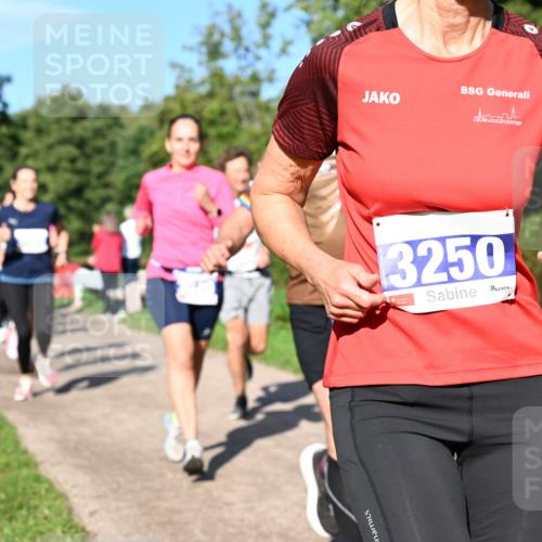 27.09.2026 - 35. Volkslauf durch das schöne Alstertal Dr. Thomas Lammeyer http://msf.ph/oto/10564631 27.09.2026 10:35:45 Laufen 3250 meine-sportfotos.de