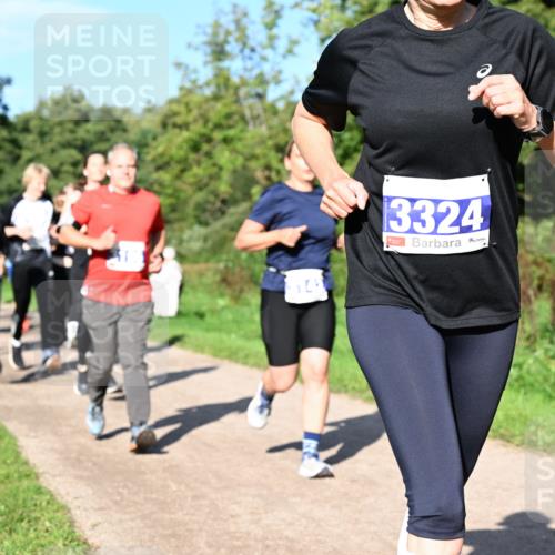 27.09.2026 - 35. Volkslauf durch das schöne Alstertal Dr. Thomas Lammeyer http://msf.ph/oto/10564798 27.09.2026 10:36:09 Laufen 3324 meine-sportfotos.de