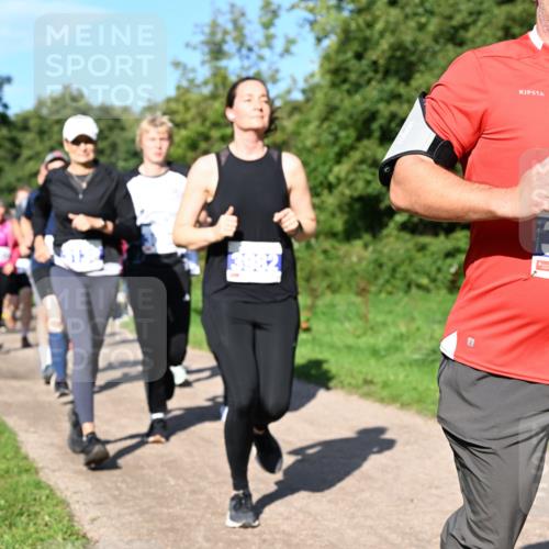 27.09.2026 - 35. Volkslauf durch das schöne Alstertal Dr. Thomas Lammeyer http://msf.ph/oto/10564811 27.09.2026 10:36:11 Laufen 3196 meine-sportfotos.de