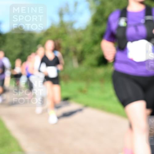 27.09.2026 - 35. Volkslauf durch das schöne Alstertal Dr. Thomas Lammeyer http://msf.ph/oto/10564877 27.09.2026 10:36:21 Laufen  meine-sportfotos.de