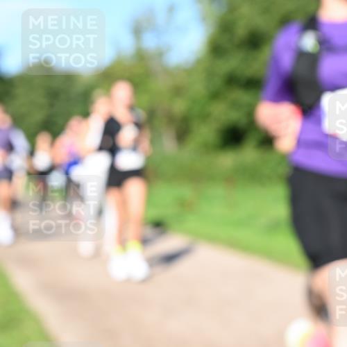 27.09.2026 - 35. Volkslauf durch das schöne Alstertal Dr. Thomas Lammeyer http://msf.ph/oto/10564878 27.09.2026 10:36:22 Laufen  meine-sportfotos.de