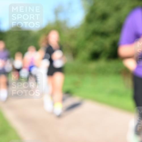 27.09.2026 - 35. Volkslauf durch das schöne Alstertal Dr. Thomas Lammeyer http://msf.ph/oto/10564879 27.09.2026 10:36:22 Laufen  meine-sportfotos.de