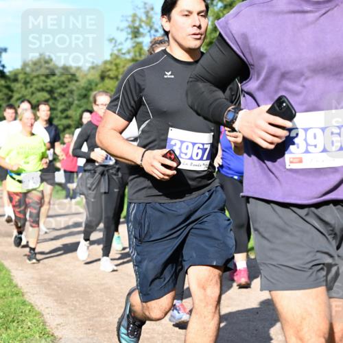 27.09.2026 - 35. Volkslauf durch das schöne Alstertal Dr. Thomas Lammeyer http://msf.ph/oto/10564900 27.09.2026 10:36:25 Laufen 3967, 3966 meine-sportfotos.de