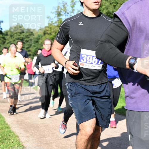 27.09.2026 - 35. Volkslauf durch das schöne Alstertal Dr. Thomas Lammeyer http://msf.ph/oto/10564901 27.09.2026 10:36:25 Laufen 177, 3967, 3966 meine-sportfotos.de