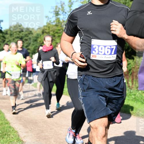 27.09.2026 - 35. Volkslauf durch das schöne Alstertal Dr. Thomas Lammeyer http://msf.ph/oto/10564902 27.09.2026 10:36:25 Laufen 3967 meine-sportfotos.de