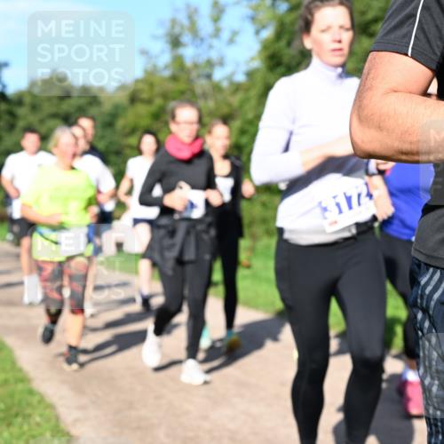 27.09.2026 - 35. Volkslauf durch das schöne Alstertal Dr. Thomas Lammeyer http://msf.ph/oto/10564905 27.09.2026 10:36:25 Laufen 13172 meine-sportfotos.de