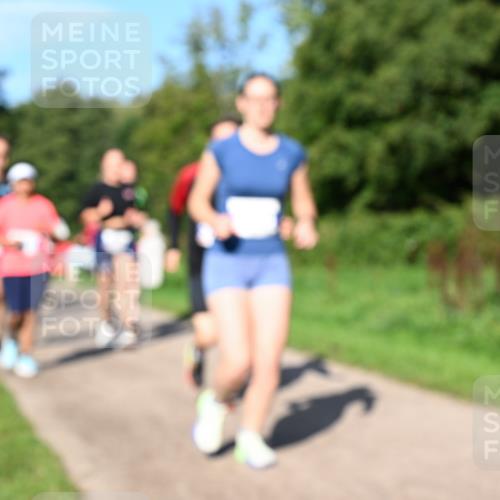 27.09.2026 - 35. Volkslauf durch das schöne Alstertal Dr. Thomas Lammeyer http://msf.ph/oto/10564951 27.09.2026 10:36:32 Laufen  meine-sportfotos.de