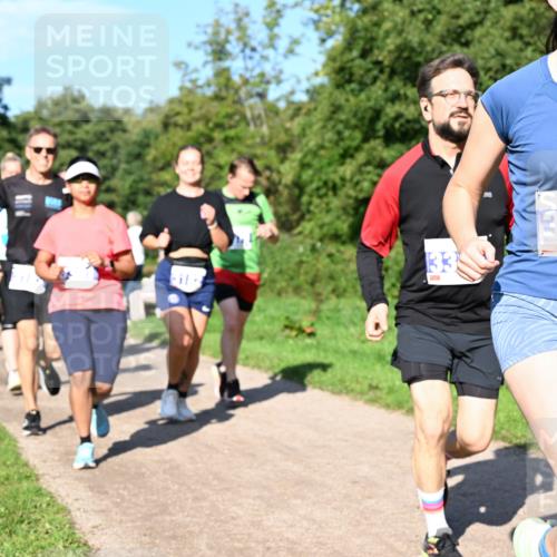 27.09.2026 - 35. Volkslauf durch das schöne Alstertal Dr. Thomas Lammeyer http://msf.ph/oto/10564958 27.09.2026 10:36:33 Laufen 133, 3400 meine-sportfotos.de