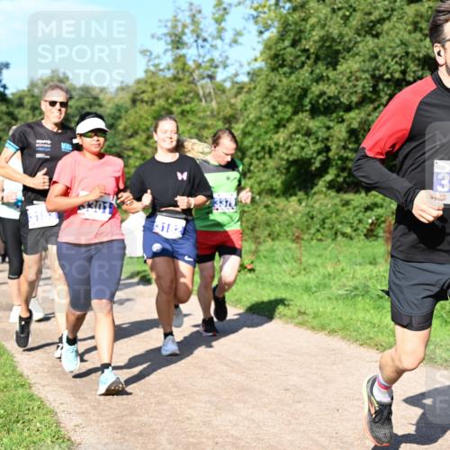27.09.2026 - 35. Volkslauf durch das schöne Alstertal Dr. Thomas Lammeyer http://msf.ph/oto/10564960 27.09.2026 10:36:34 Laufen 3182, 3373 meine-sportfotos.de