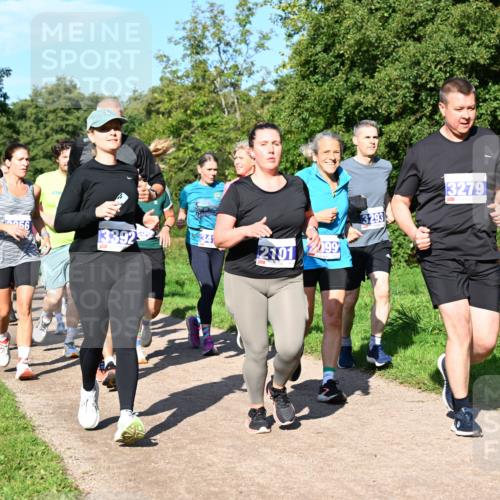 27.09.2026 - 35. Volkslauf durch das schöne Alstertal Dr. Thomas Lammeyer http://msf.ph/oto/10565011 27.09.2026 10:36:41 Laufen 3392, 4341, 2101, 3293, 3279 meine-sportfotos.de
