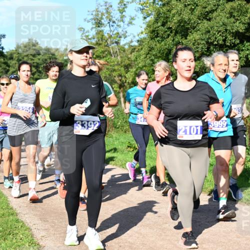 27.09.2026 - 35. Volkslauf durch das schöne Alstertal Dr. Thomas Lammeyer http://msf.ph/oto/10565016 27.09.2026 10:36:42 Laufen 256, 3392, 341, 2101, 3999 meine-sportfotos.de