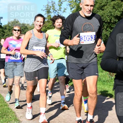 27.09.2026 - 35. Volkslauf durch das schöne Alstertal Dr. Thomas Lammeyer http://msf.ph/oto/10565025 27.09.2026 10:36:43 Laufen 3328, 3053, 339 meine-sportfotos.de